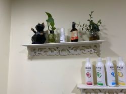 -丽时 Hair Salon