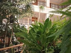 -云南滇池花园国际大酒店温泉