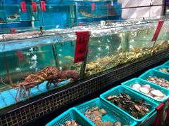 -海大大蒸汽海鲜餐厅·粤菜·特色小炒(欢乐颂店)
