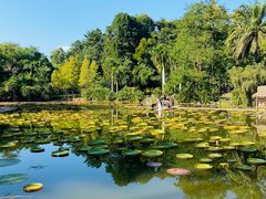 -中国科学院西双版纳热带植物园
