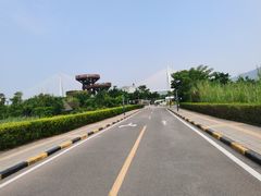 -芒洲湿地公园