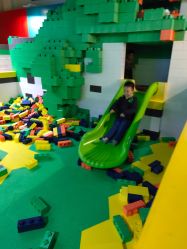 -恐龙探索乐园(磁器口店)