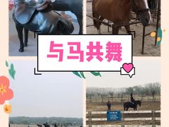 -月河湾马术俱乐部(朝阳店)