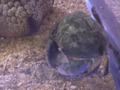 -欢乐海岸海洋奇梦馆