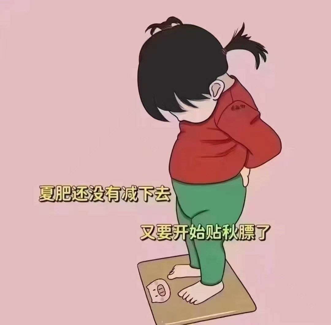 🔍夏肥未退,秋膘又至?