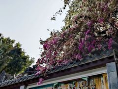 -深圳国际园林花卉博览园