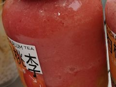 多肉桃李-喜茶(广州东方宝泰店)