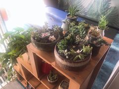 -SAH健身私教工作室(紫东店)