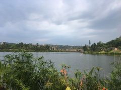 -枫香湖儿童公园