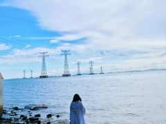 -宝安西湾红树林湿地公园