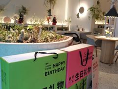 -春树下·树屋花房西餐厅(罍街AS1980店)