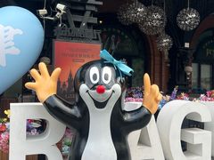 -布拉格餐厅· 中欧捷克菜(全国首店)