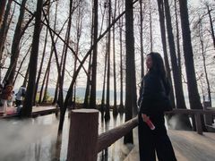 -东湖落雁景区