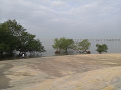 -宝安西湾红树林湿地公园