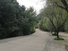 -云峰山自然风景区