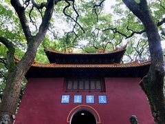 -普陀山风景名胜区-法雨禅寺