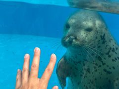 -泉城欧乐堡海洋极地世界