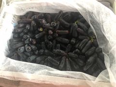 -双福水果批发市场
