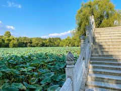 -长春市南湖公园