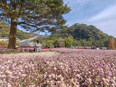 -广州市石门国家森林公园