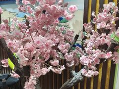 -学习谷日语培训日本留学·多语种外语教学(海淀人大分部)