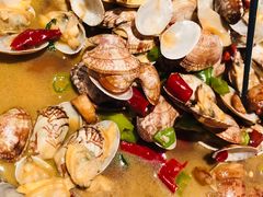 铜盘花蛤-新白鹿餐厅(城西银泰城店)