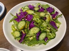 大拌菜-向川南·水煮鱼·川菜(和平里店)