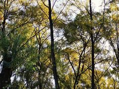 -东郊湿地公园