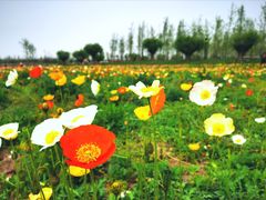 -汉长安城未央宫国家考古遗址公园