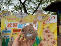 -上海野生动物园