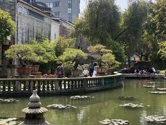 -碧江金楼