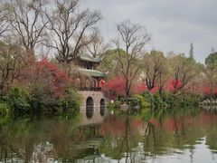 -棠湖公园