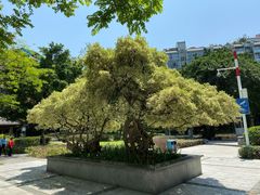 -兆祥公园