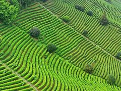 -梅州天地人花园酒店(梅县人民广场店)