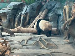 -武汉动物园