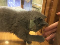 -龟与熊猫宠物公园(南坪店)