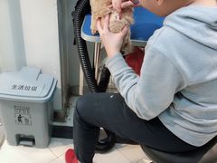 -PETKIT 小佩宠物·低压洗护·美容·寄养(安远店)