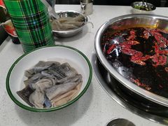 鲜毛肚-电台巷火锅(科华总店)