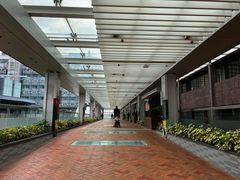 -香港大学