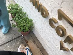 -UPUPKAFE  立咖啡(浏城桥店)