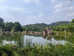 -白马涧龙池景区