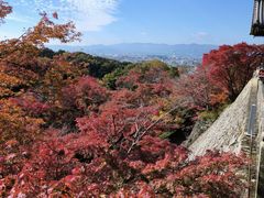 -清水寺