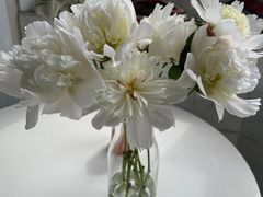 -Apple Store苹果手机电脑售后维修中心(浦东店)