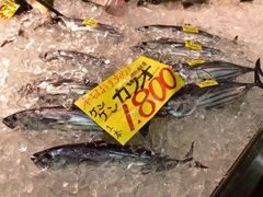 -海鮮寿司とれとれ市場