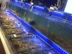-必点海鲜·鲅鱼水饺(鞍山西道店)