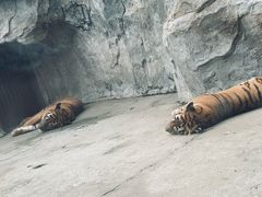-南昌动物园