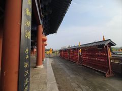 -大槐树寻根祭祖园