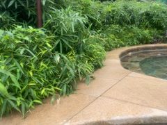 -中家鑫园温泉酒店鑫悦汤泉