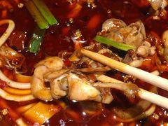 -宽口美蛙鱼头(大唐西市店)