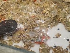 -川骄海鲜自助(河东店)